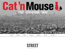 Tablet Screenshot of catnmousepromo.com